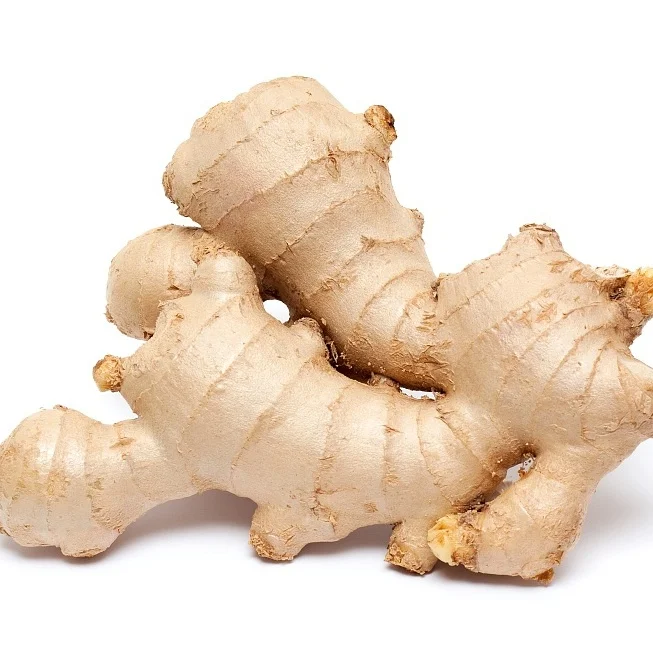100% Fresh Yellow Ginger High Quality Wholesale Ginger For Sale