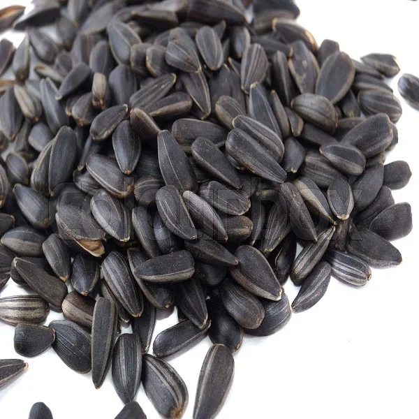 Factory Supply Sunflower Seed Protein 65%