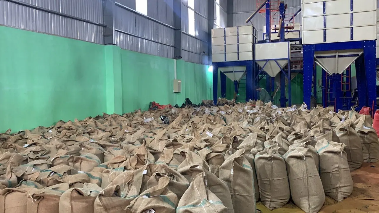 Roasted Arabica High Quality Ground Coffee Private Label Coffee Oem Service Green Coffee Vietnam Manufacturer