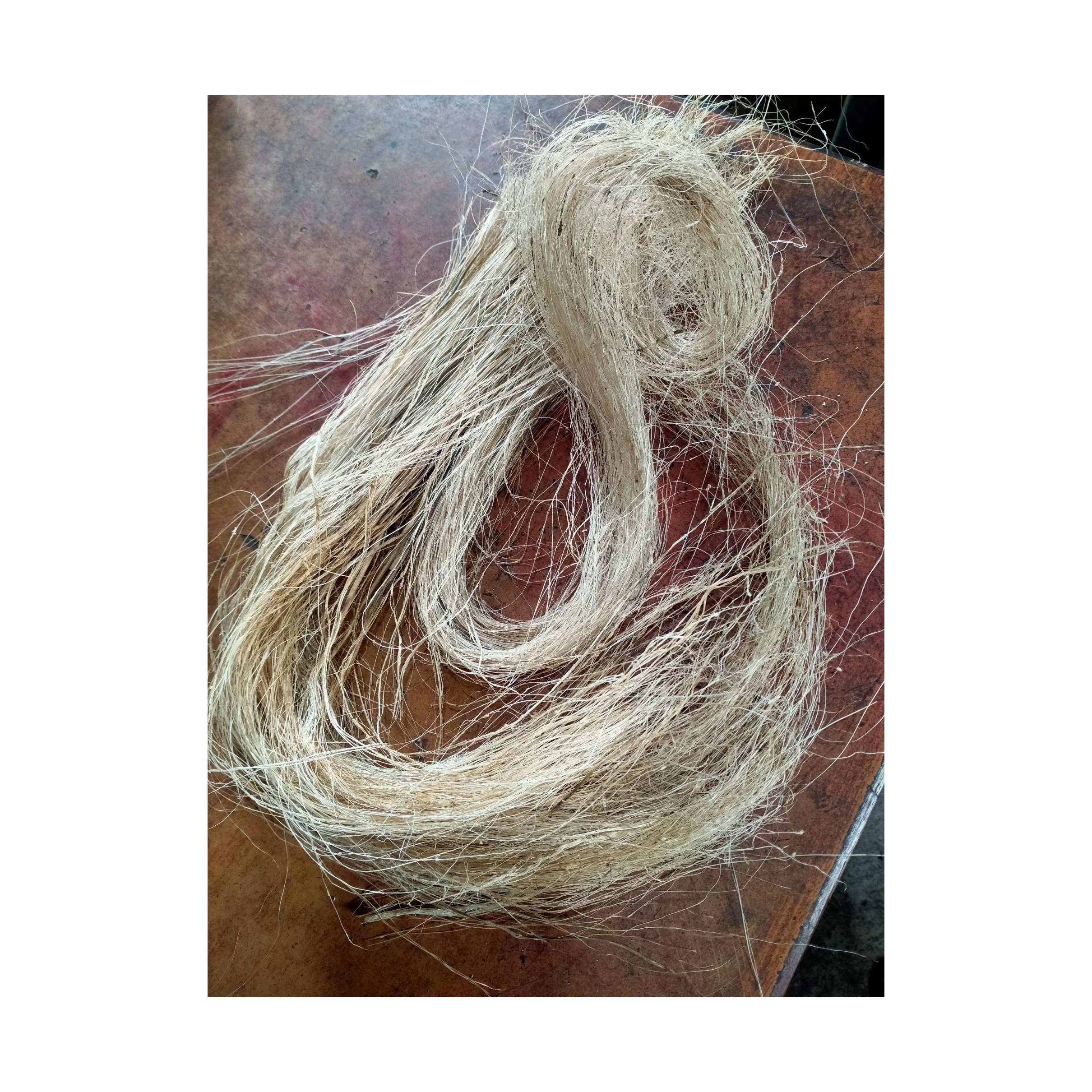 Direct Supplier 100% Top Quality Sisal Fiber / Purity 100% Natural Sisal Fiber / Sisal Fiber Best Prices