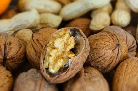 Best Price Unshelled Walnuts Walnuts And Walnut Kernels