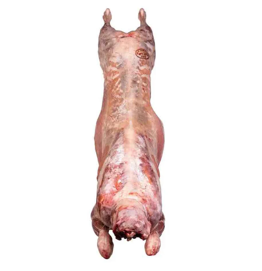 PREMIUM QUALITY HALAL FRESH CHILLED GOAT MUTTON MEAT SADDLE 4910/ LAMB MEAT CARCASS FOR SALE AT WHOLESALE PRICES IN BULK