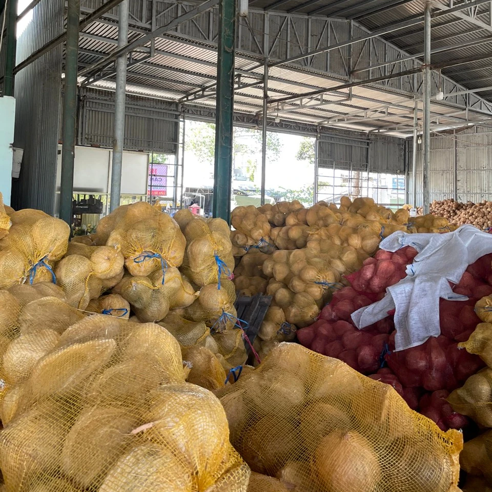 Wholesale 2022 100% Fresh mature coconut in bag Fresh newly harvested made in Viet Nam Phytosanitary Certification Fresh Coconut