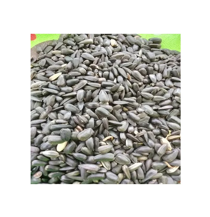 Premium Quality Nigeria Origin Agriculture Products Natural Pure Sunflower Seeds at Competitive Market Price
