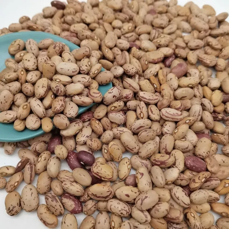 sugar beans 4.jpeg