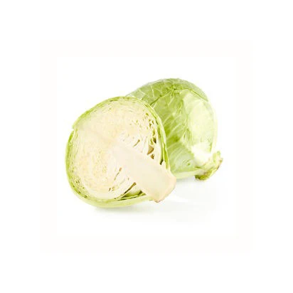 Online Buy / Order Top Quality Fresh Vegetable Green celery  Cabbage With Best Quality Best Price Exports fresh celery  cabbage