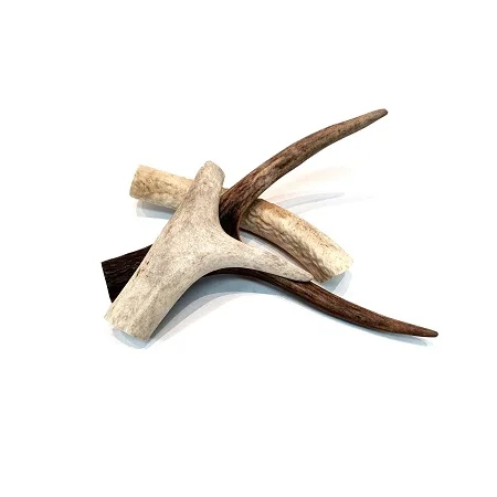 Deer Antler  03.jpg
