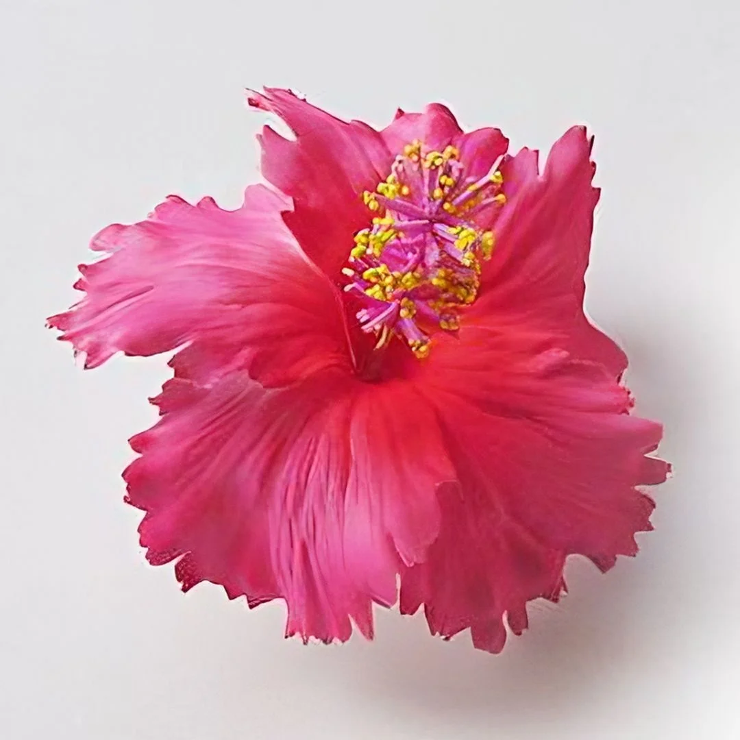 Premium Product of Hibiscus Foam Flower with unique tattoo print pattern (Pack 100 pieces)