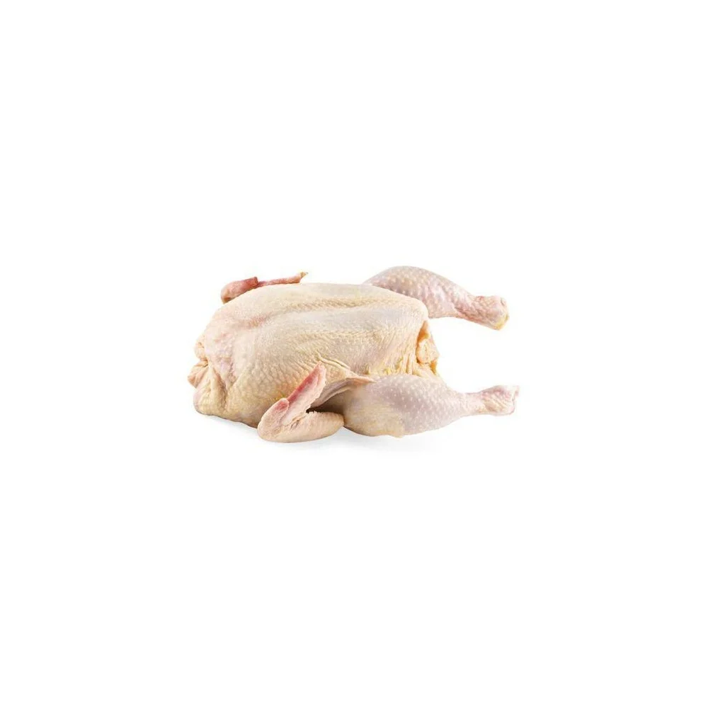 Halal Certificated Frozen Turkey Chicken meat Eating Cooking Food Bulk Whole Meat Top Grade from Meat Factory