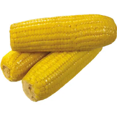 Сушеная Желтая Кукуруза для кормления животных, подходит для крупного рогатого скота и лошадей, хорошее качество от производителя, корм для животных, кукуруза