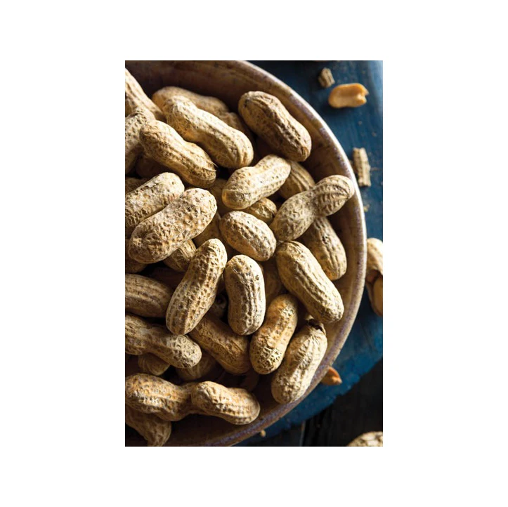 Brazil Ground Nuts Buy at Cheap Price peanut Wholesale Wholesale raw peanuts without shell /groundnuts Best Dealer Of