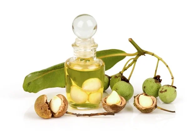 Высокое качество Tamanu масло Viet Nam поставка по оптовой цене для косметики