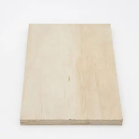 High Quality Plywood Sheet Plywood Furniture Waterproof Birch/Pine/Poplar/Eucalyptus Plywood Industrial