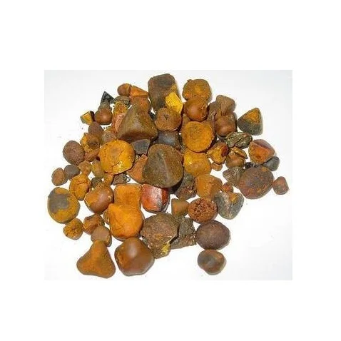 Cattle Gallstone cow gallstone ox gallstone Ox bezoars cow bezoars Bezoar from an ox