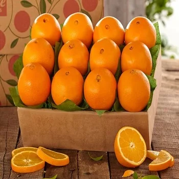 Premium Quality Thai Tangerine Sweet Tasty Juicy Orange 100% Natural Freshly Picked from Thailand Farms