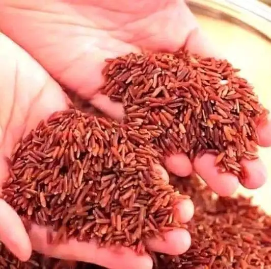 ORGANIC HIGH QUALITY VIETNAMESE RICE FOR DIET SALAD WILD KOLORADO RED RICE FOR COOKING | +84 353658179 (MS.NANCY)
