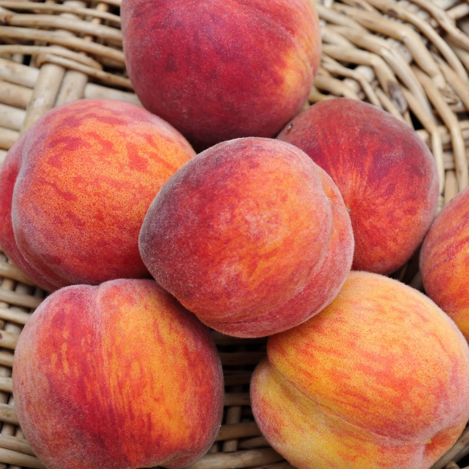 Peaches in a basket.jpg