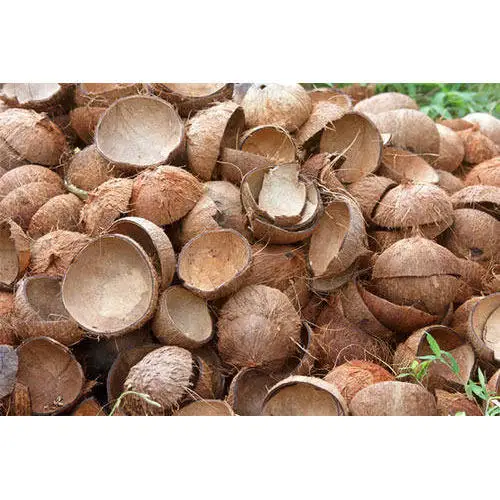 coconut shell  carbonized coconut shell natural coconut shell