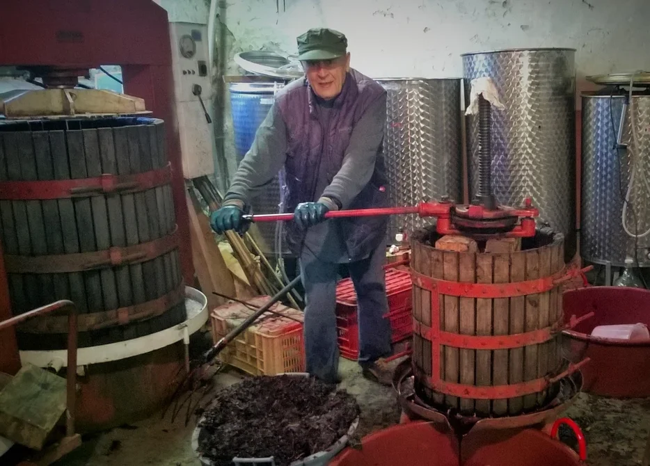 Сделанное в Италии превосходное розовое десертное вино 12.5% vol для оптового экспорта