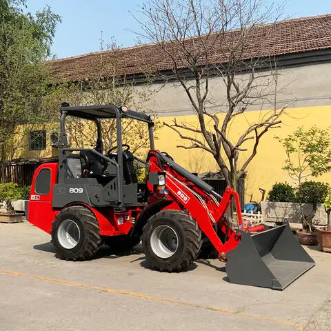 Crawler Mobile Dumper Truck Small Mountain Climbing Transport Dumper for Sale