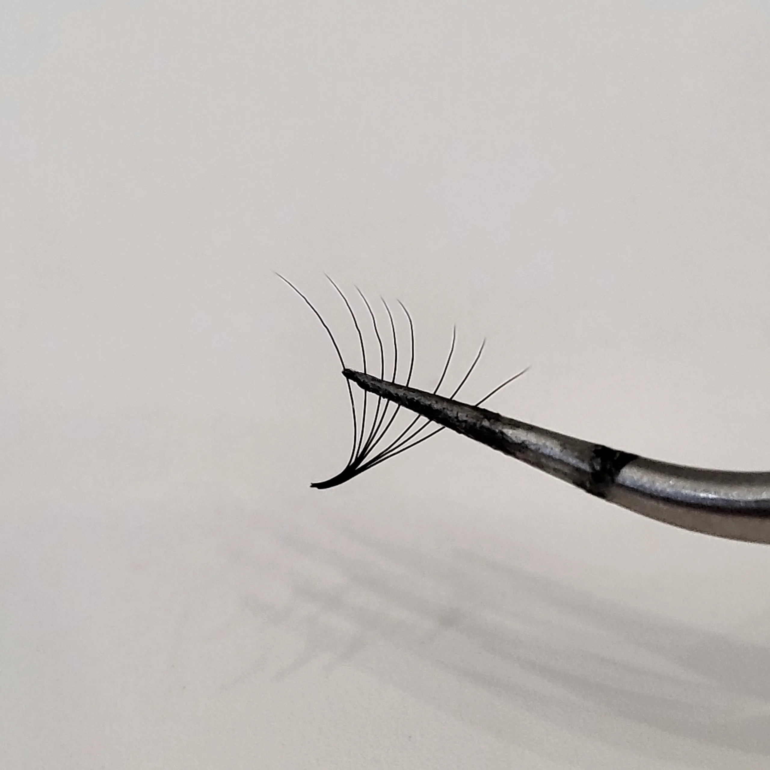 Handmade Premium 1000 Fans 8D 8mm Premade Volume Loose Eyelashes CC/D 8-15mm