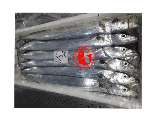 Frozen Ribbon Fish from Arabian Sea Pakistani Origin Frozen Ribbon Fish In Bulk High Quality Frozen Ribbon Fish for Export