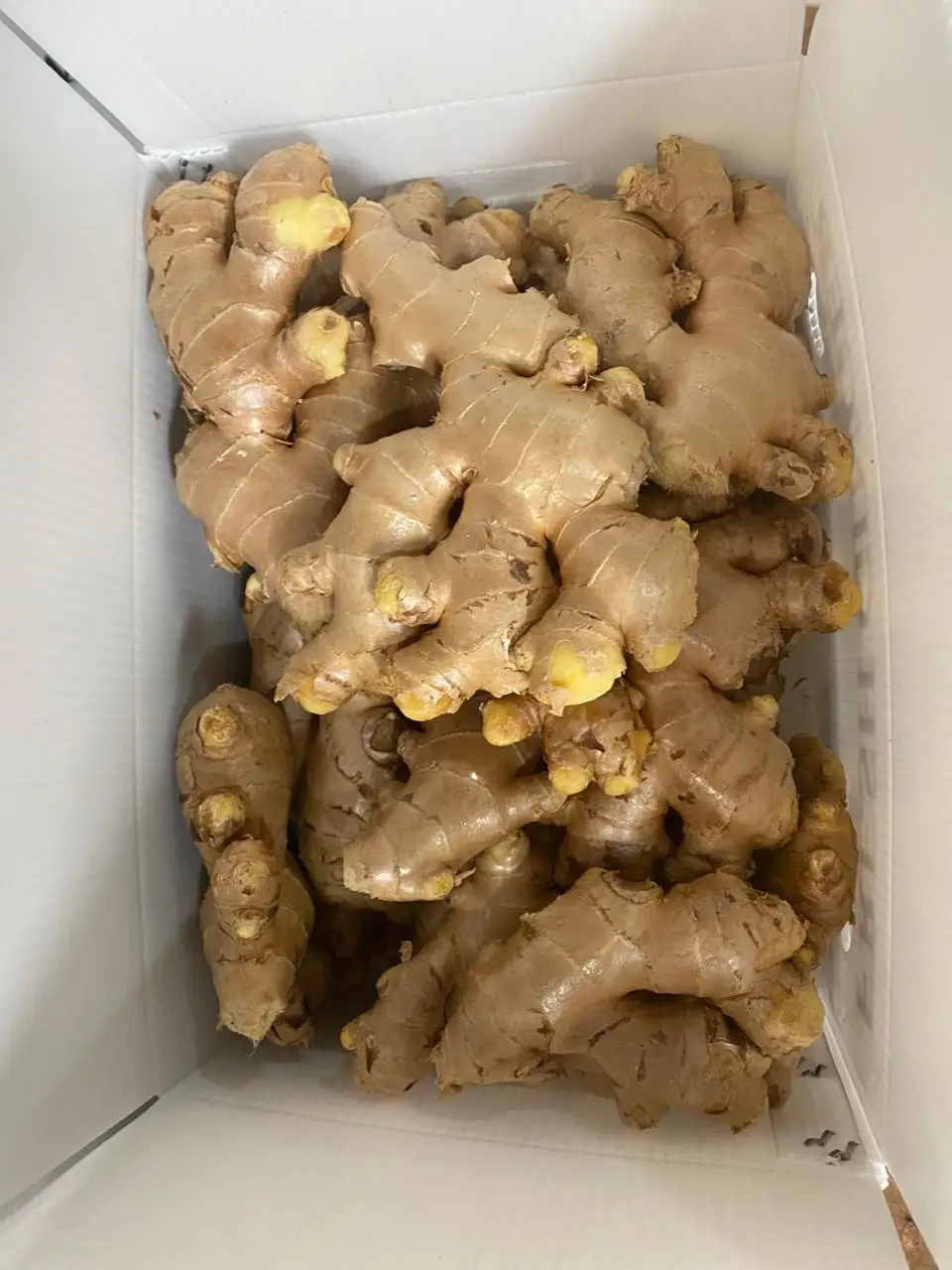 VIETNAM AIR DRY GINGER FOR WHOLESALE  CONTACT +84984418844 whatsapp