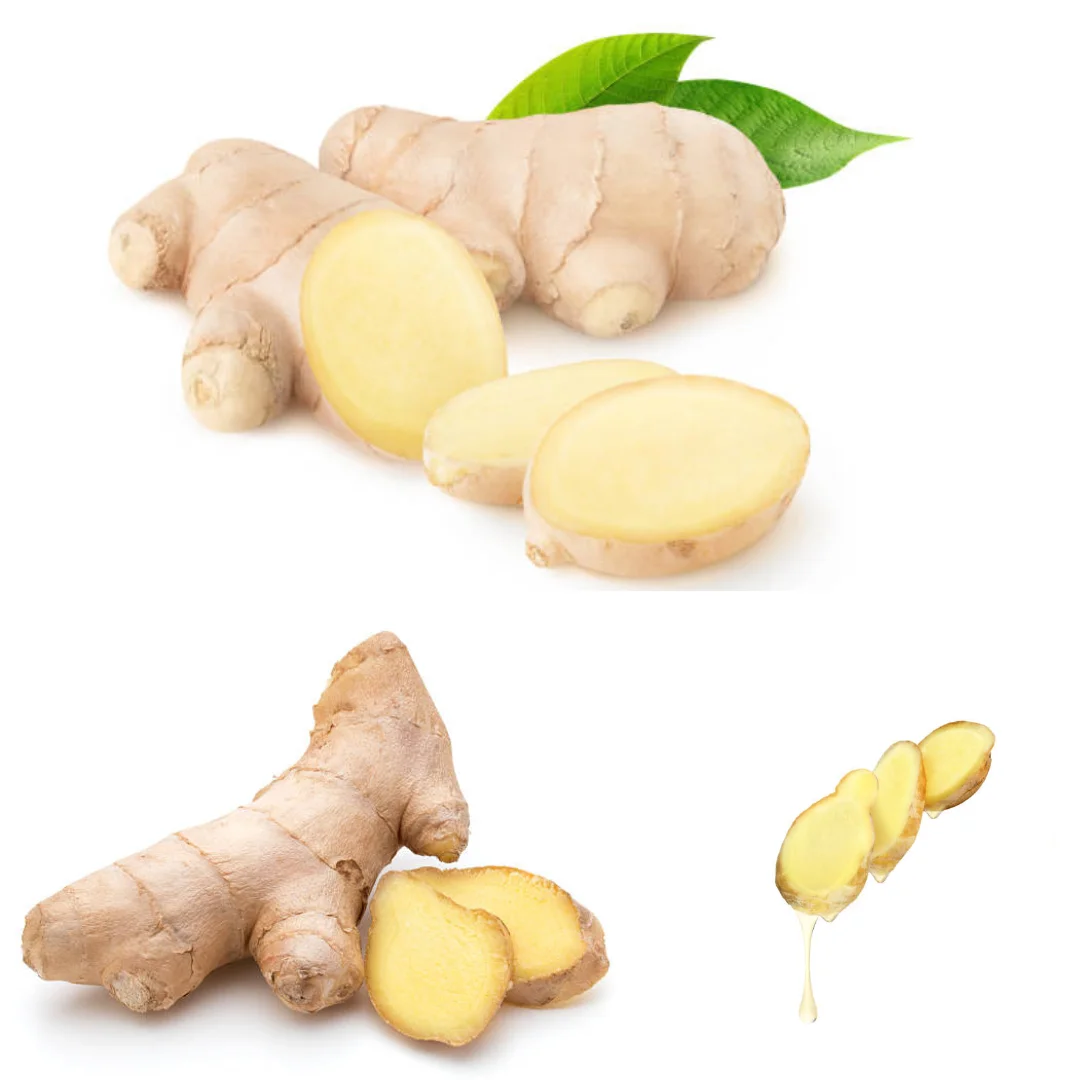 Good Price Ginger Packed In Box From Vietnam Manufacturer, Dry Ginger, Ginger for Sale , Packing Box In Vietnam