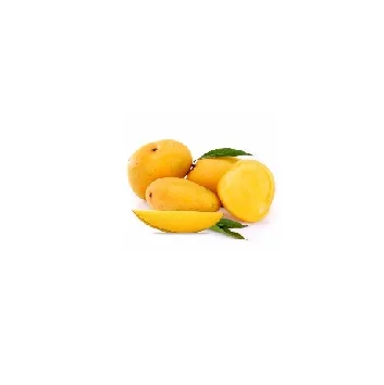 100% Organic Fresh Hot Selling Mangoes In Bulk