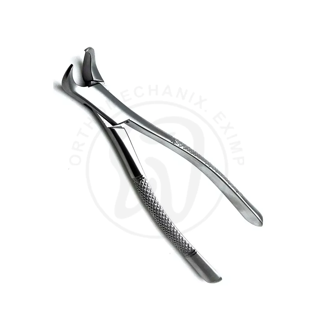 Full Medical High Quality 10pcs Dental Extraction Forceps For Dental Surgical Instrument