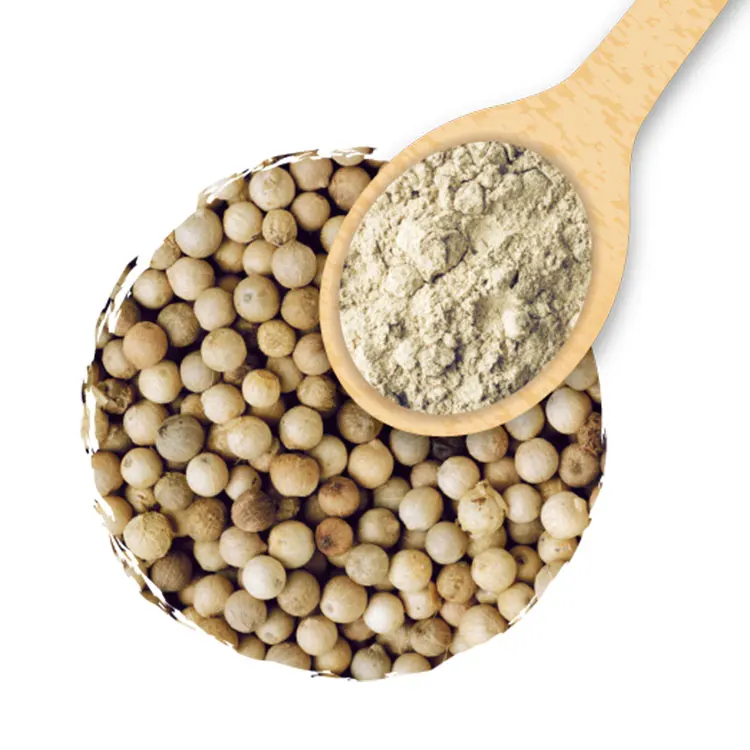 High Quality Black and White Pepper 550gl/ 500gl/ Whole Black Pepper