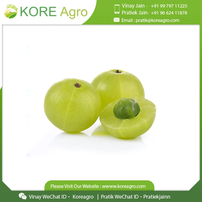 100% Pure Organic Whole Amla Beauty & Care Herbal Product Buy from Leading At Affordable Price