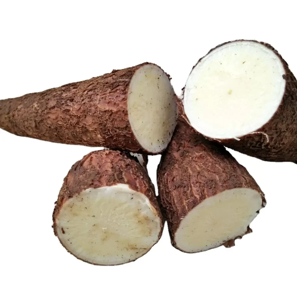 Fresh Cassava for Sale Origin Europe Lithuania