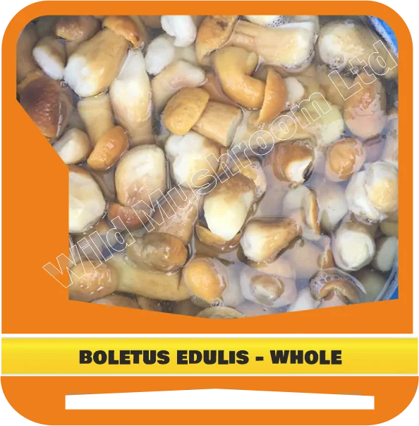Boletus edulis (Cepas, Porcini, Steinpilze) whole in brine,  Natural Food. Boiled and salted in brine.