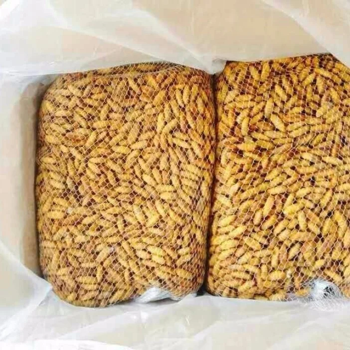 Wholesale custom private label silkworm pupae chrysalis feed silkworm feed grade yellow 25kg 25 tons dried grasshopper silkworm