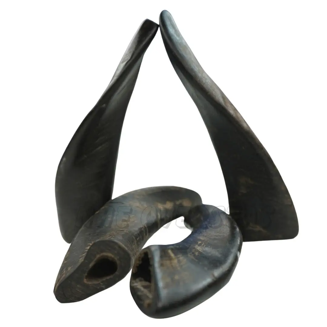 Organic Free Range Goat Horn Dog Chew Treats Natural Unpolished Sheep Ram Horns Environmentally Friendly Rope Style Toy for Dogs