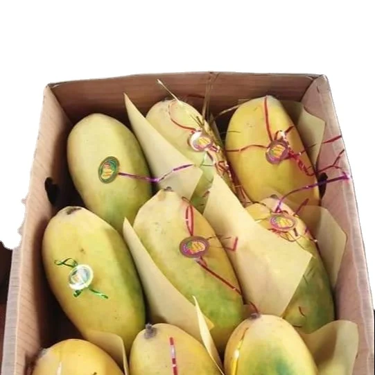 high quality export mango sand mango sand hoa Loc mango sand chu ...