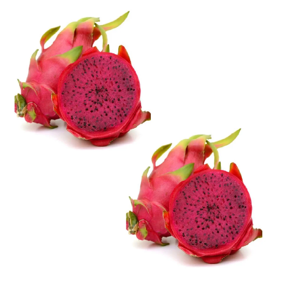Vietnam Origin Competitive Price Size 450 Gram Red White Natural Fresh Dragon Fruit Export To Japan Market and European Market