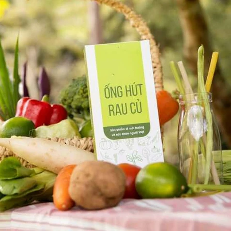 High Quality Biodegradable Eco Friendly Vegetable Drinking Straws made in Vietnam exported EU, USA