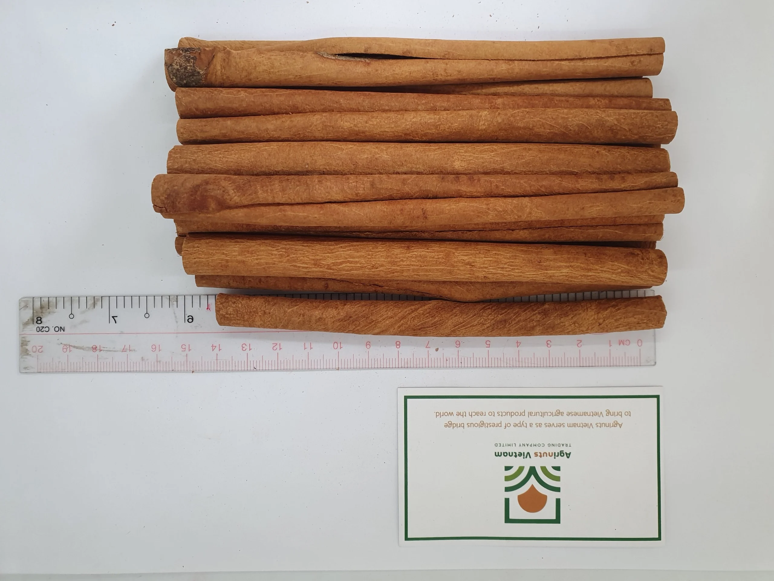 Cassia 14cm Origin Vietnam Cigarette Product With Best Price For Sale High Quality From Manufacture