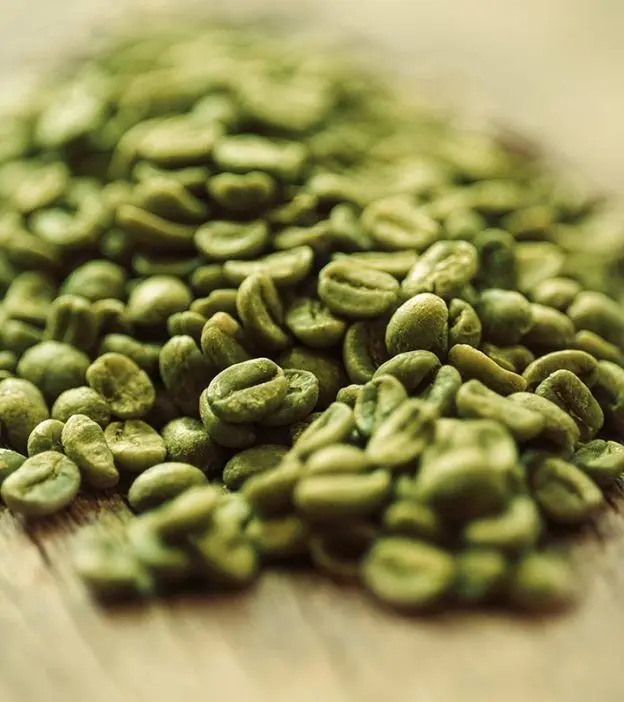 HOT NEW CROP VIETNAM ROBUSTA COFFEE GREEN BEANS HIGH QUALITY  008467851111 JENSY