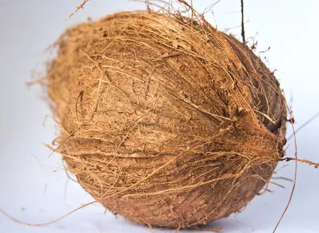 Pure Organic full and semi husked Coconut/Fresh Tender Coconut private label export best price sale