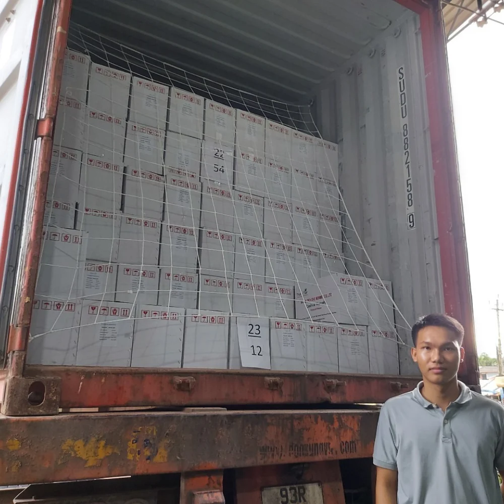 Made In Vietnam Kaju Cashew Cashew Nuts W320 W240 Noix De Cajoux Best Price Cashew Nuts Wholesale Nuts