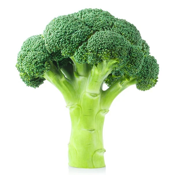 Hot-sale Fresh Organic IQF Frozen Broccoli brand price %100 Natural Wholesale Fresh Broccoli Vegetable Origin High Quality