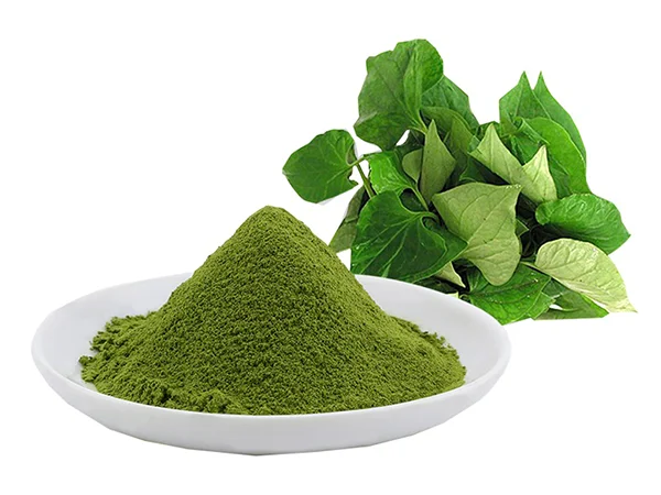 Top Quality Organic Powder Lettuce Extract Wholesale Price Food Additive