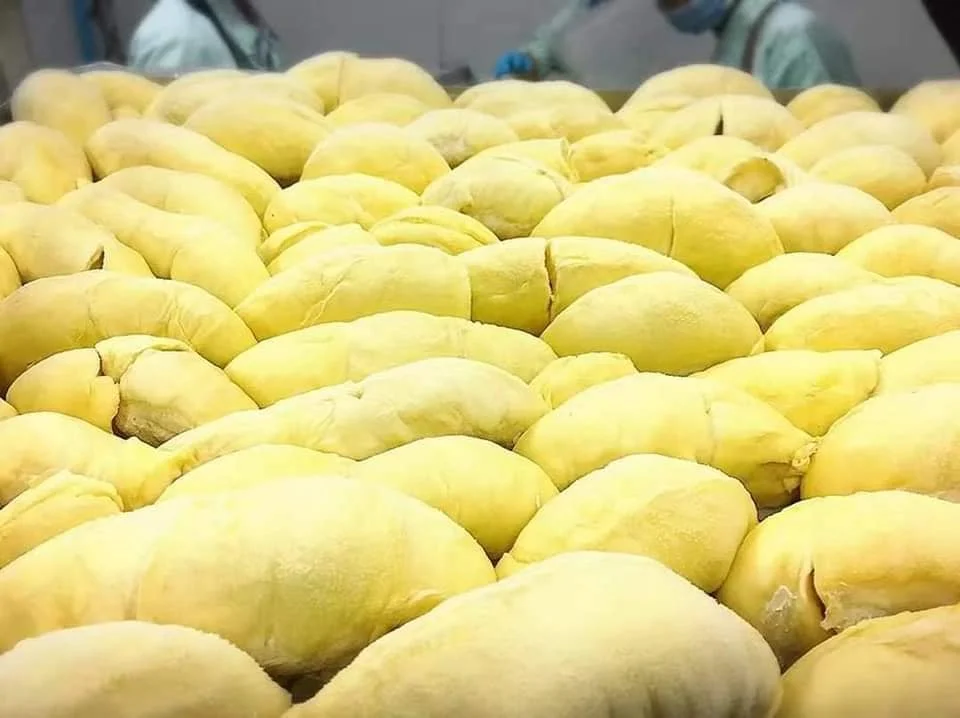 No. 1 of Thai fruit exports must be us only. dear durian Ready to travel to LA, USA Monthong Durian Premium Grade A Fresh,