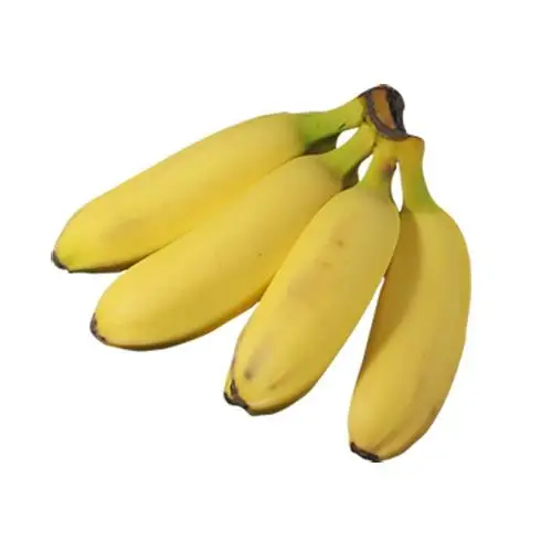 CANVEDISH BANANA THAILAND- Fresh Banana with best price for sale.