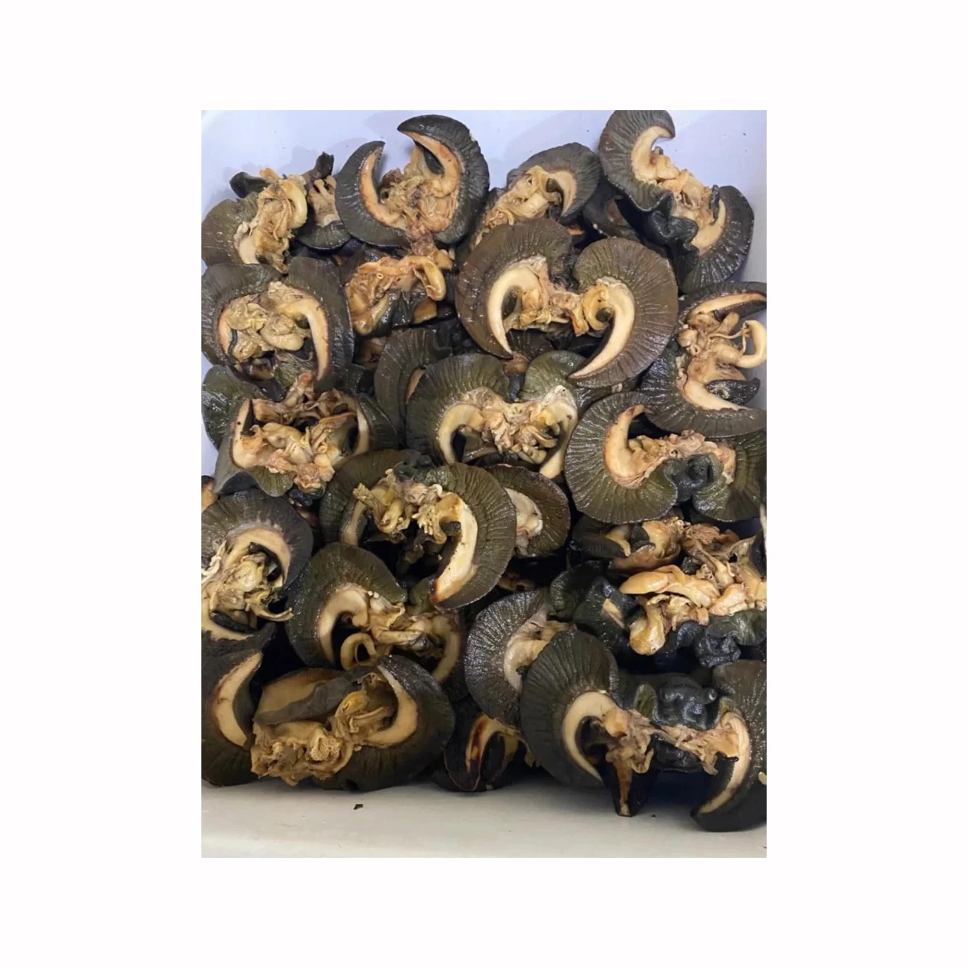 Cheapest price dried Giant Snail/Dried snails exporters/Fresh sea snails