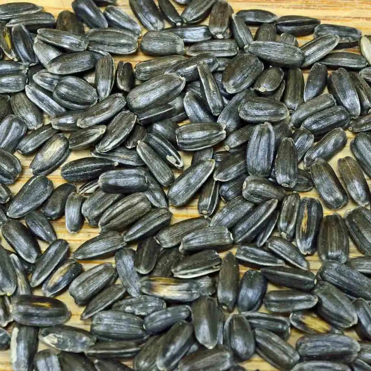 Wholesale Shelled Sunflower Seeds Confectionery Sunflower Kernels