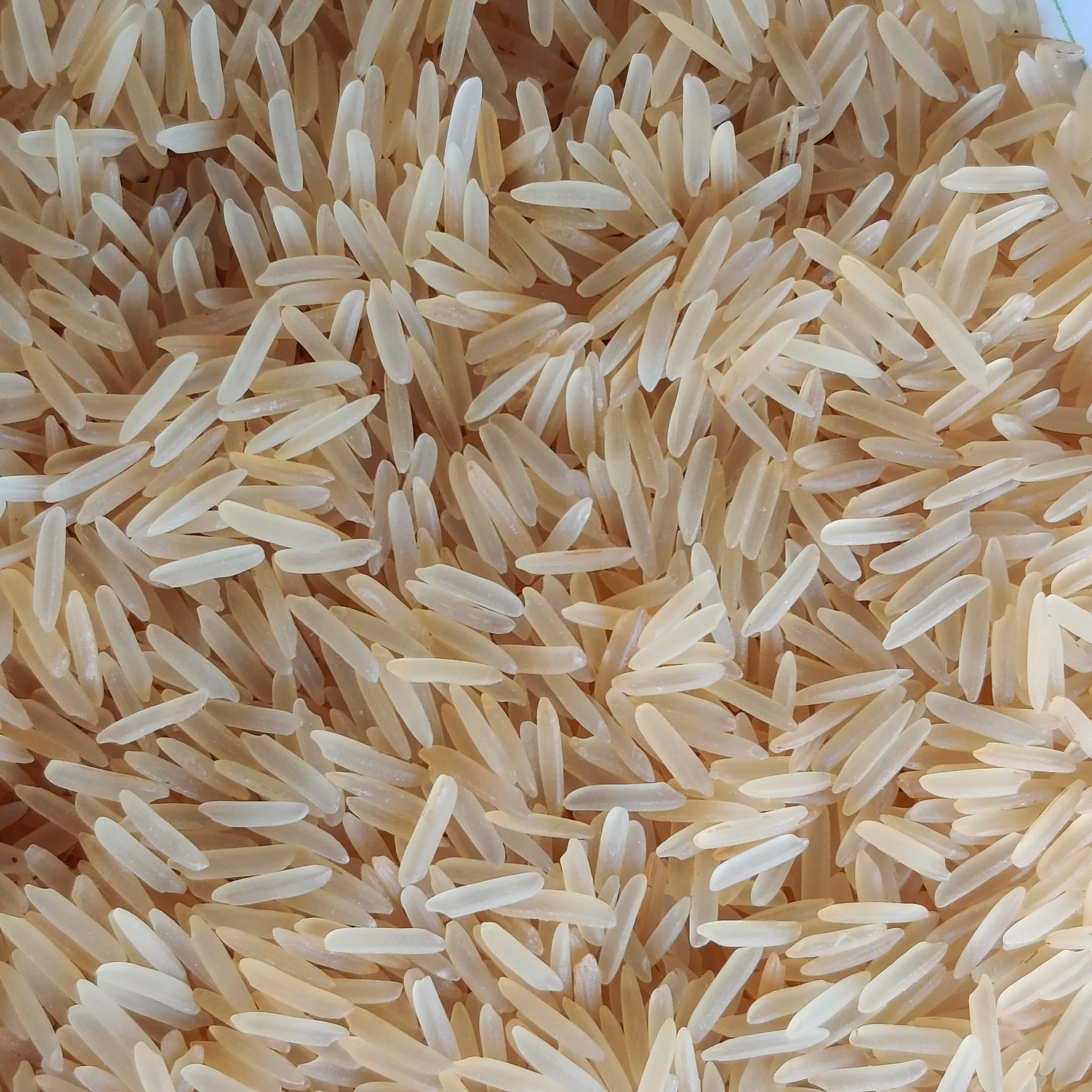 Quality Basmati Rice from Thailand/ Wholesale White Long Grain Rice, 5%-25% Broken in Bulk with Cheap Price